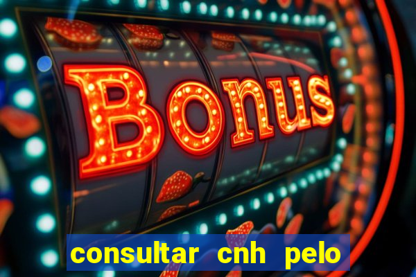 consultar cnh pelo cpf sp